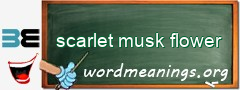 WordMeaning blackboard for scarlet musk flower